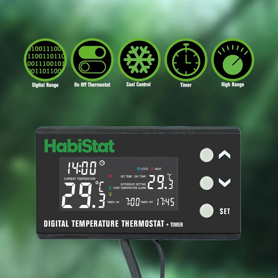 Thermostat for Your Reptile Enclosure
