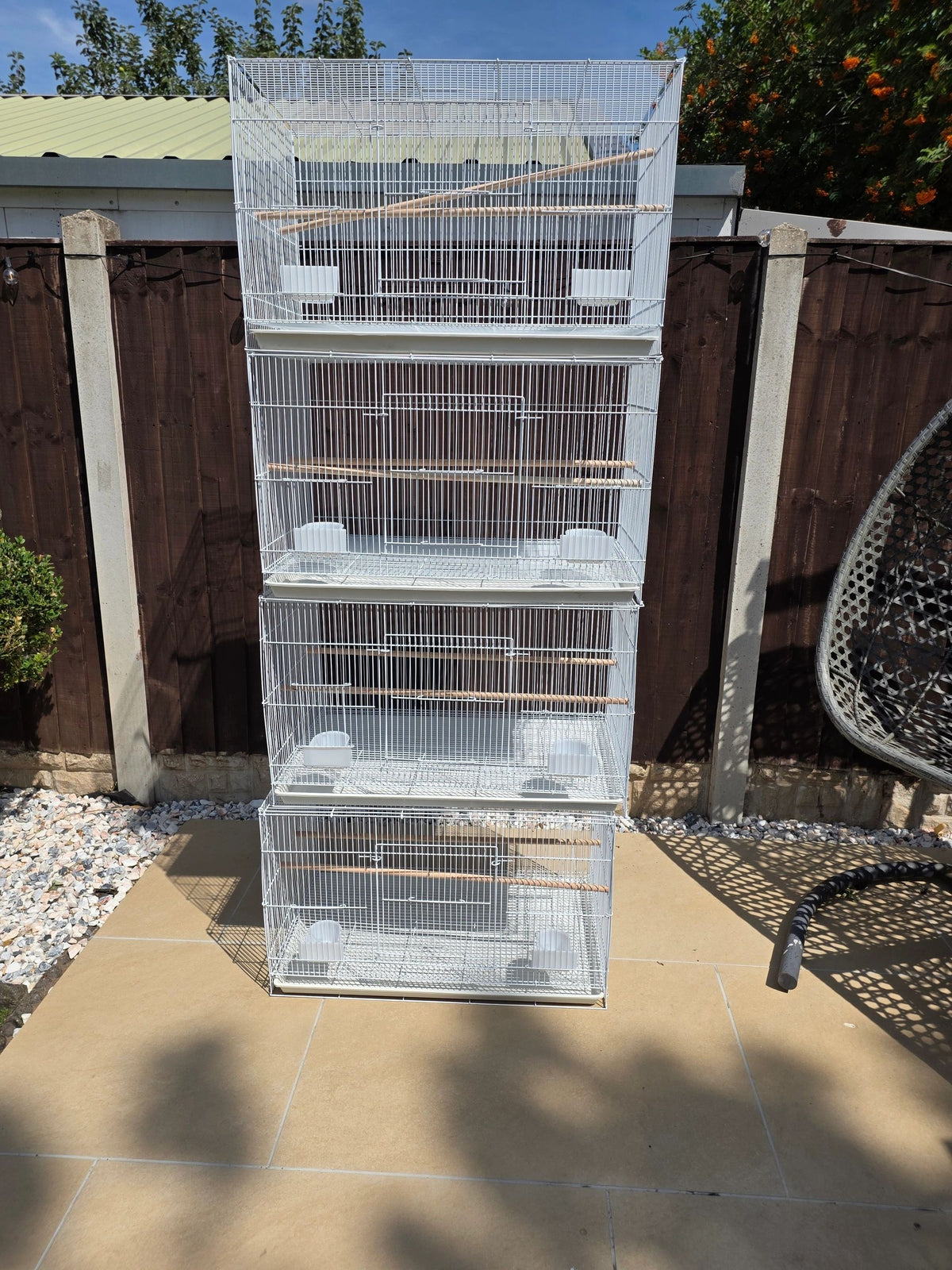 Roxy's Sealy cage Breeders