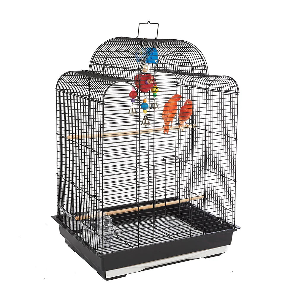 San Luis Black Cage 4601