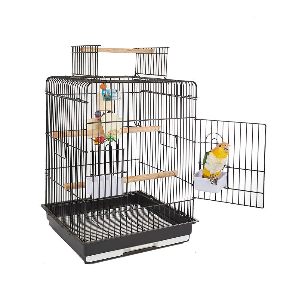 Santa Monica Black Cage 1702