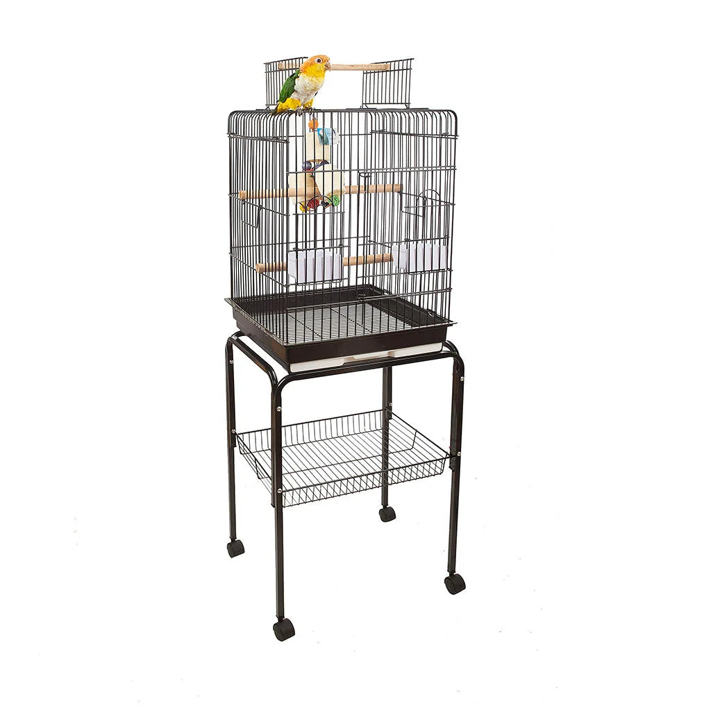 Santa Monica Black Cage 1702