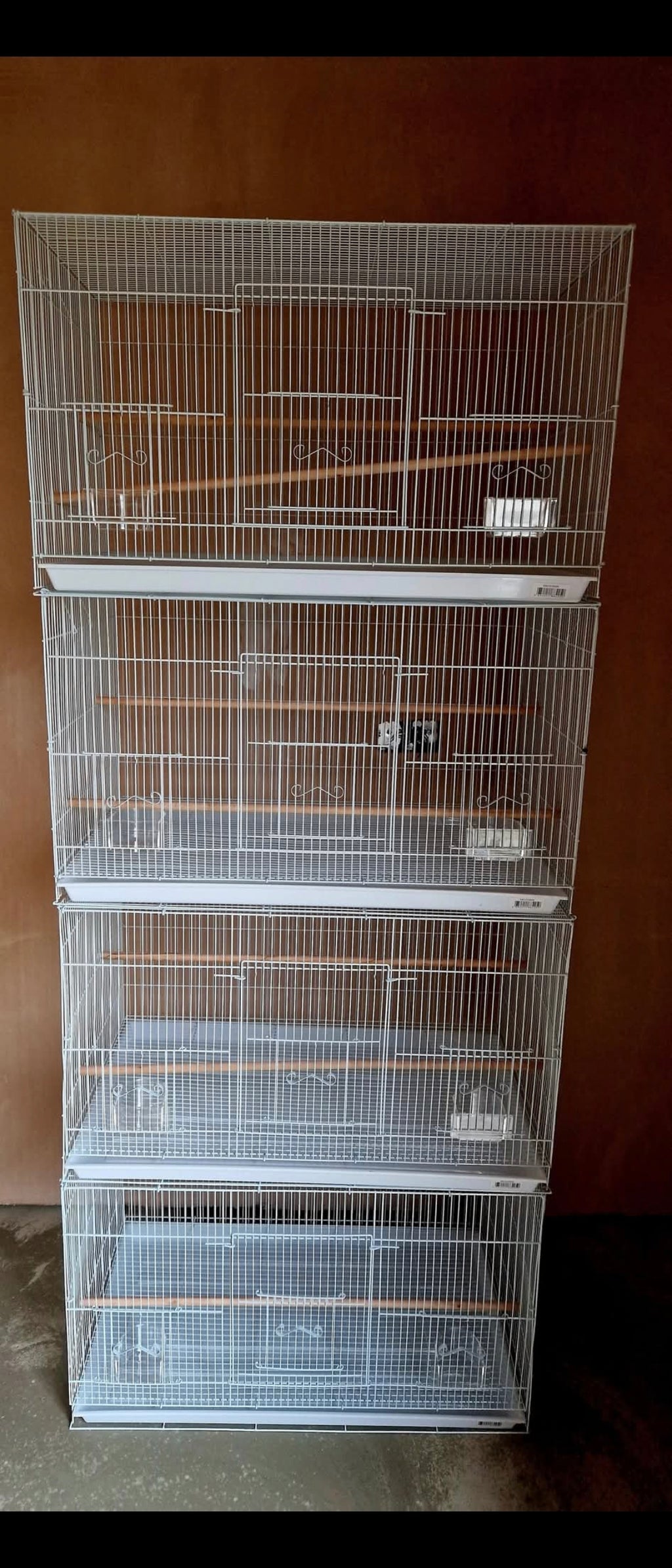 Roxy's Sealy cage Breeders